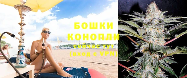 дурь Бородино