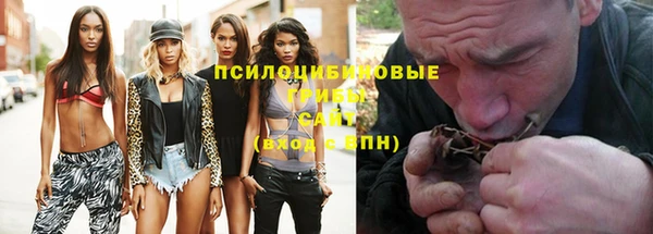 дурь Бугульма