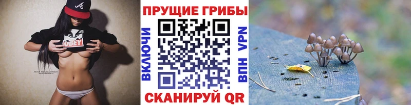 купить наркотик  Карабулак  Галлюциногенные грибы GOLDEN TEACHER 